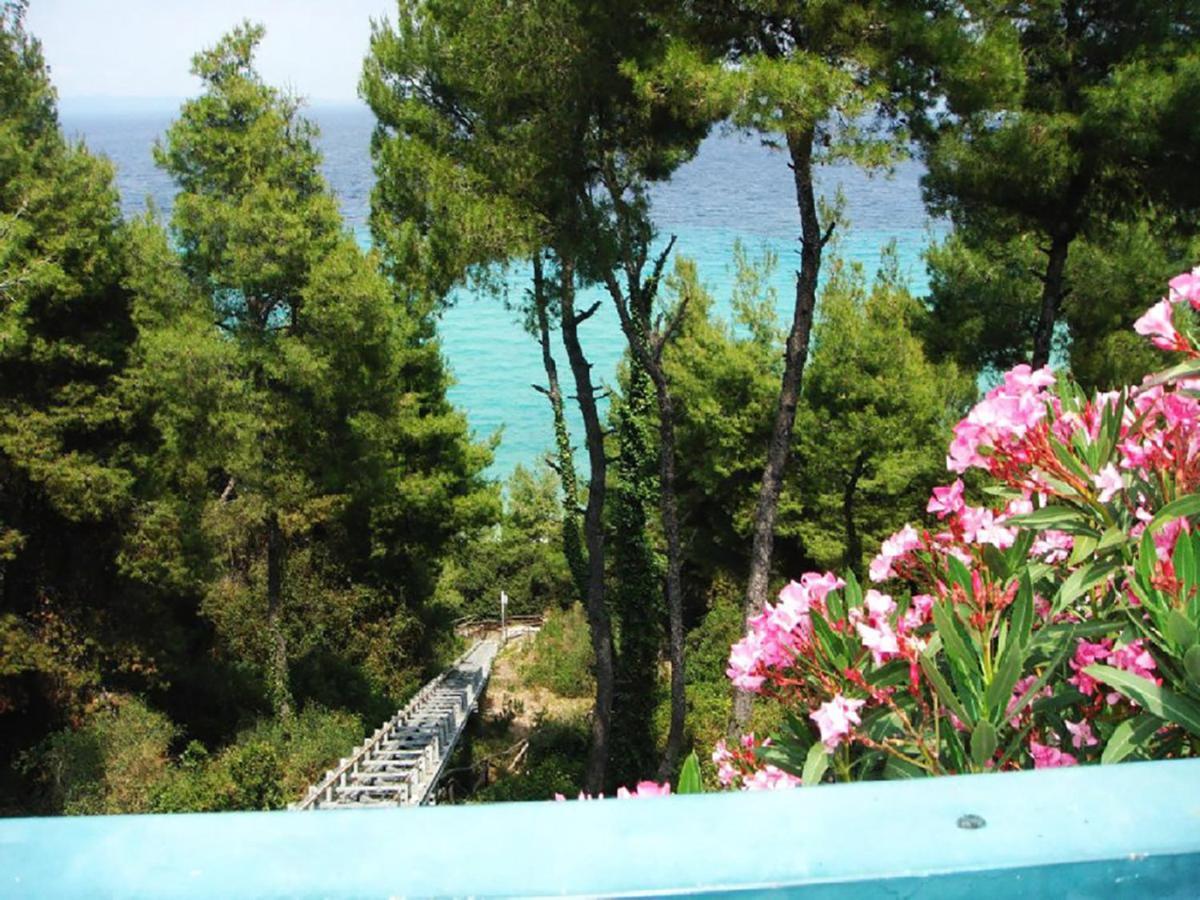 Porto Thea Alexandra Shared Pool Villa, Άφυτος Εξωτερικό φωτογραφία